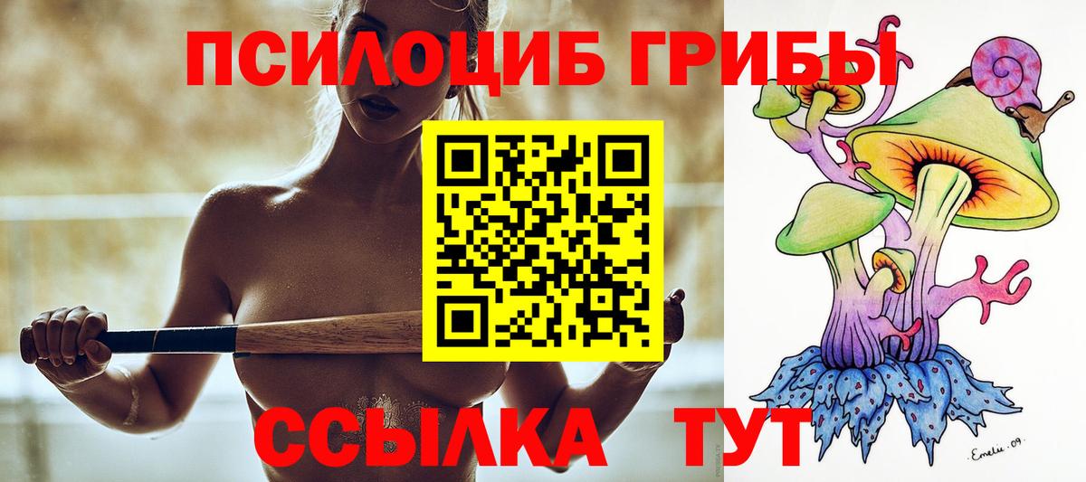 Галлюциногенные грибы Cubensis Ставрополь