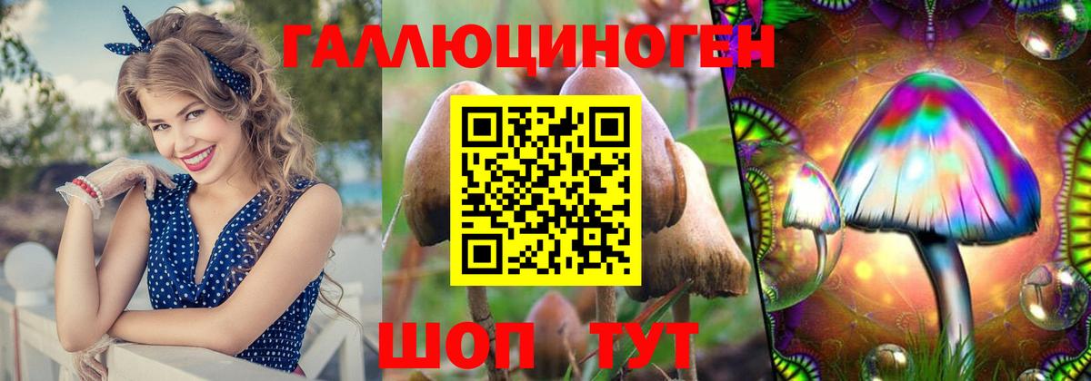 Ставрополь  Псилоцибиновые грибы Cubensis  Вход с VPN 